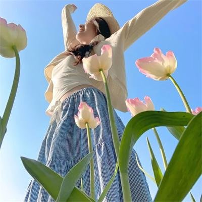 精灵幻想记第二季